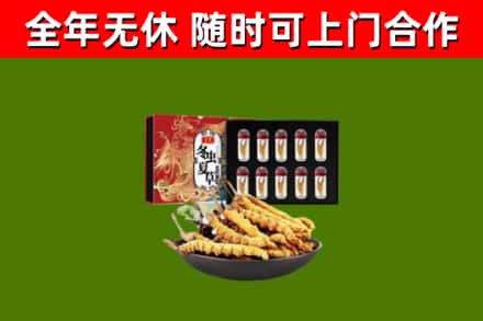 楚雄市回收冬虫夏草价格